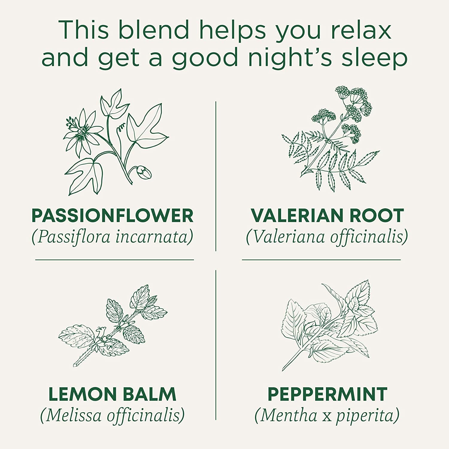 Organic, Nighty Night Extra, Valerian Root & Lemon Balm - Herbal Sleep Aid Tea - Kosher, Non-Gmo, Caffeine-Free, Compostable - 96 Tea Bags (6 Packs of 16)